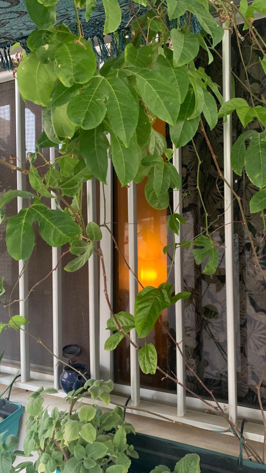 דקר Dar Dyali Rooftop ⁿᵉᵃʳ ⁿᵍᵒʳ ᵇᵉᵃᶜʰ ᵃⁿᵈ ⁱˢˡᵃⁿᵈ מראה חיצוני תמונה