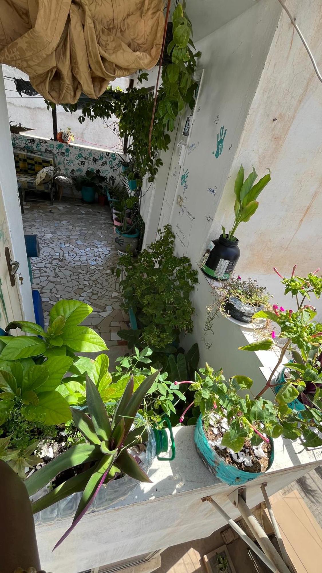דקר Dar Dyali Rooftop ⁿᵉᵃʳ ⁿᵍᵒʳ ᵇᵉᵃᶜʰ ᵃⁿᵈ ⁱˢˡᵃⁿᵈ מראה חיצוני תמונה