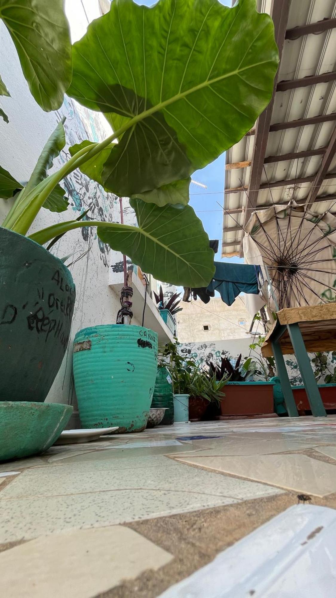 דקר Dar Dyali Rooftop ⁿᵉᵃʳ ⁿᵍᵒʳ ᵇᵉᵃᶜʰ ᵃⁿᵈ ⁱˢˡᵃⁿᵈ מראה חיצוני תמונה