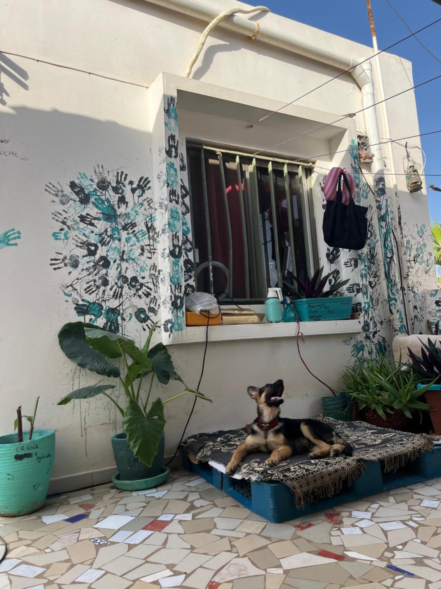 דקר Dar Dyali Rooftop ⁿᵉᵃʳ ⁿᵍᵒʳ ᵇᵉᵃᶜʰ ᵃⁿᵈ ⁱˢˡᵃⁿᵈ מראה חיצוני תמונה